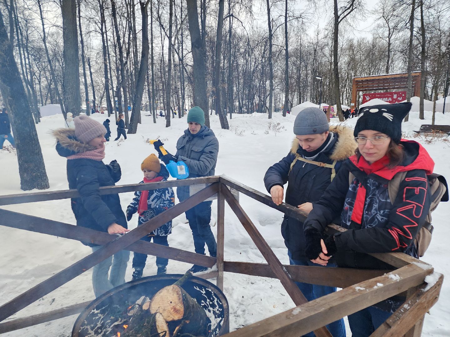 серпухов, подмосковье, очаги в парке, парк имени олега степанова, зима в подмосковье,