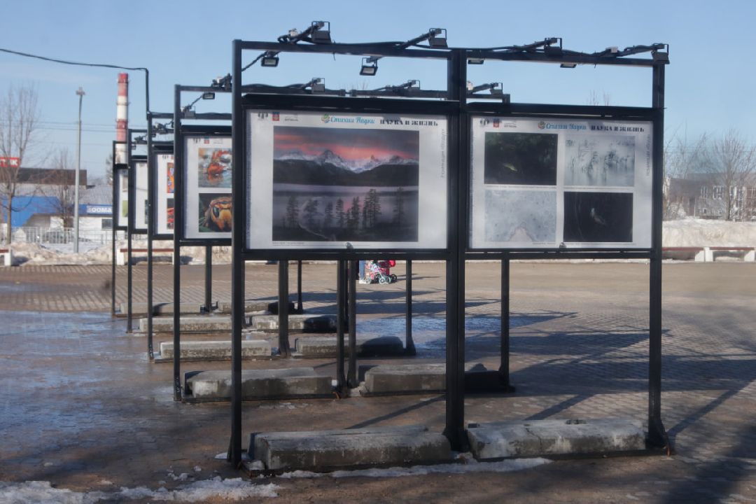 Пущино, наука, культура, выставка, фотография