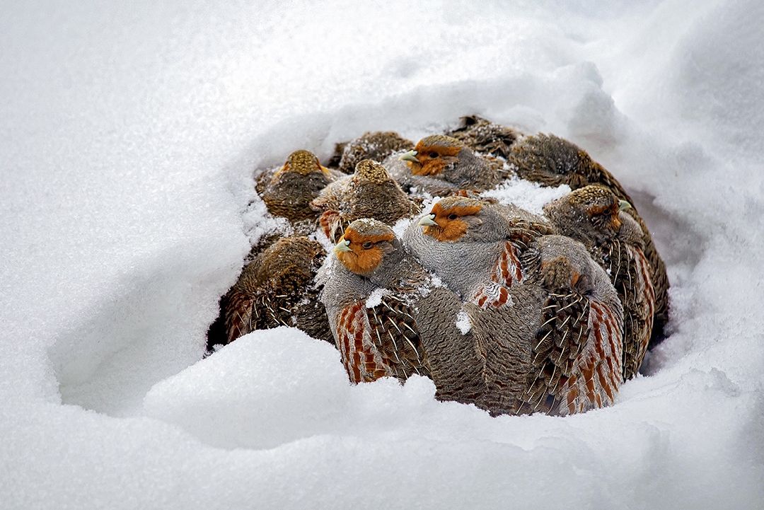 Пущино, наука, культура, выставка, фотография