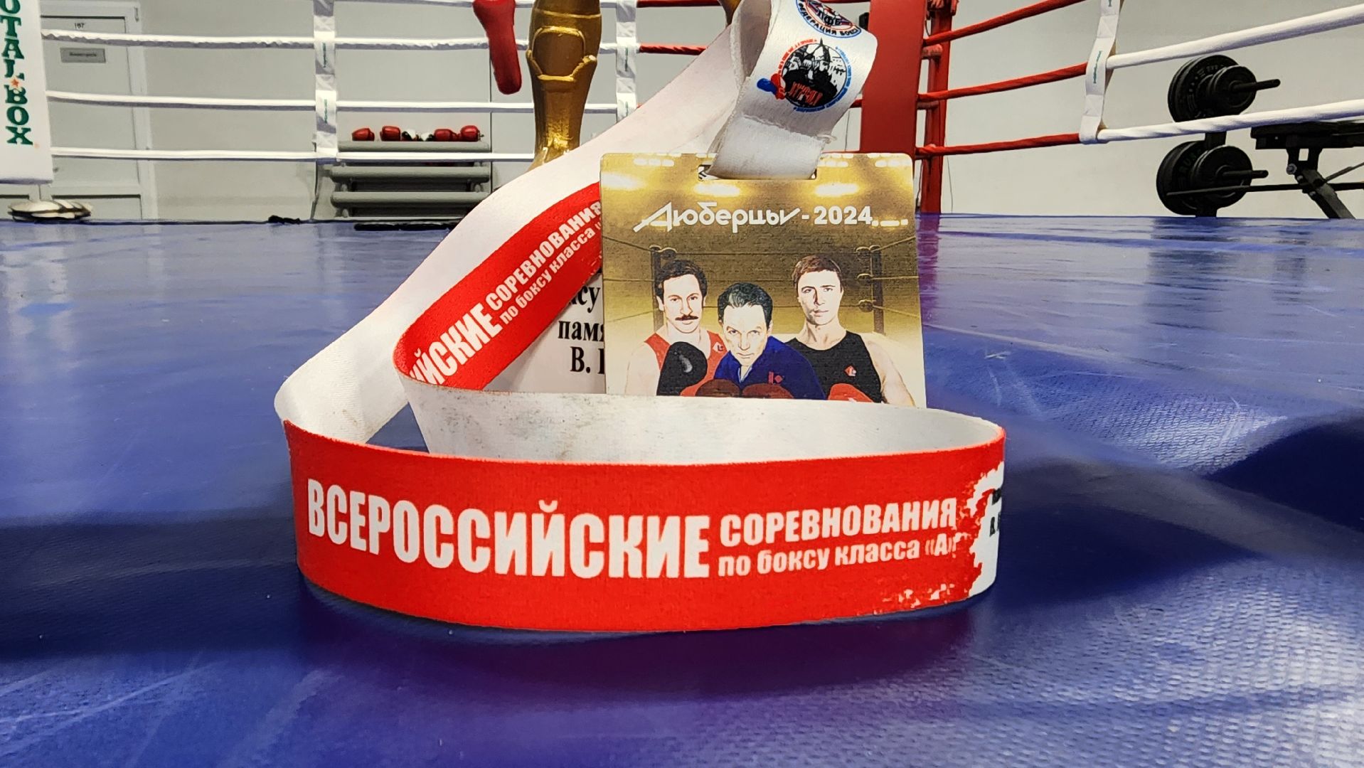 Подмосковье, Городской округ Пушкинский, Ивантеевка, сш ивантеевка, Бокс, мастер спорта россии,