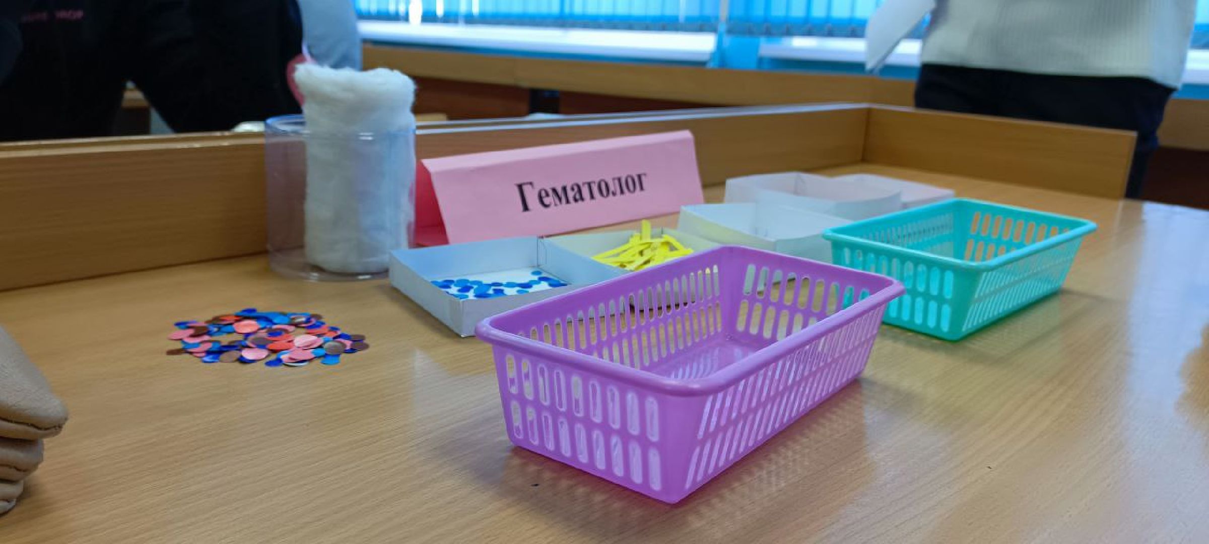 Дмитров, Фестиваль наук, Образование,