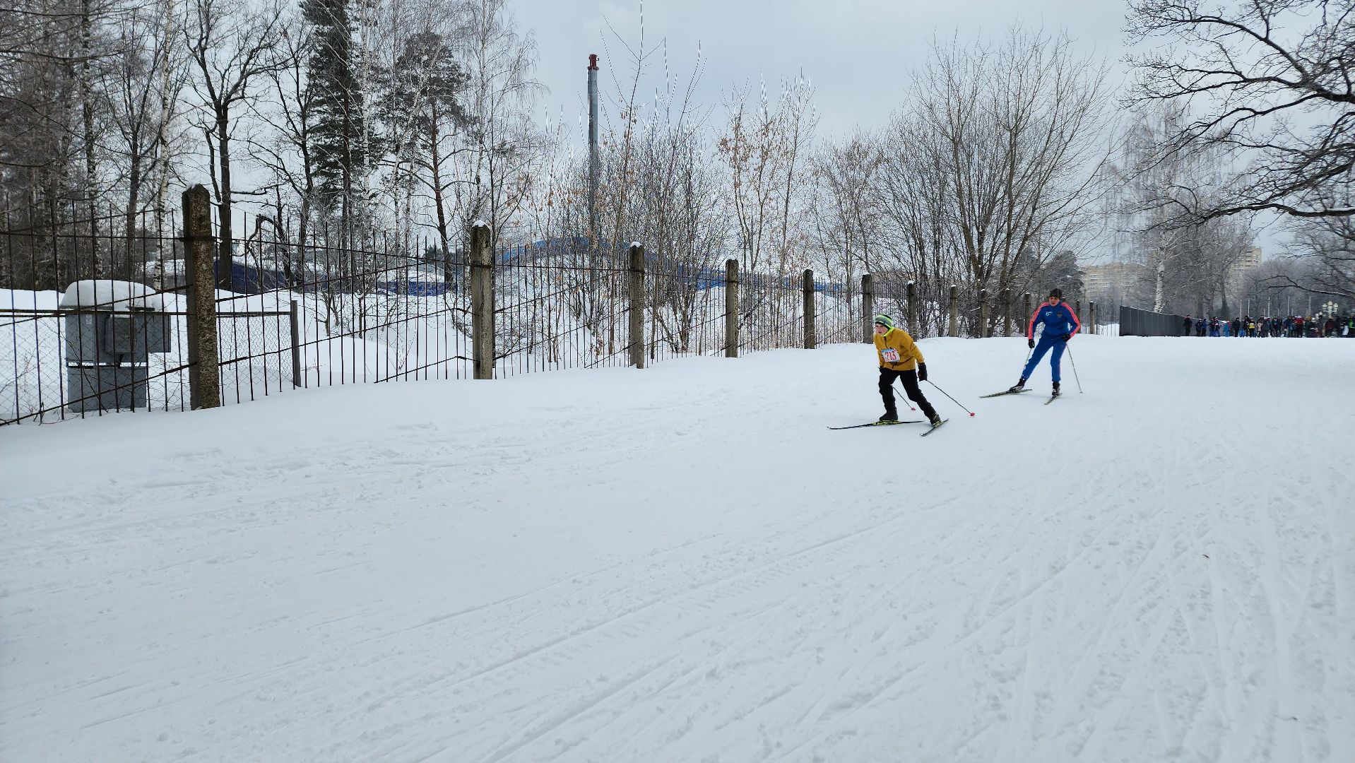 ступино, спорт ступино, спартакиада школьников ступино,