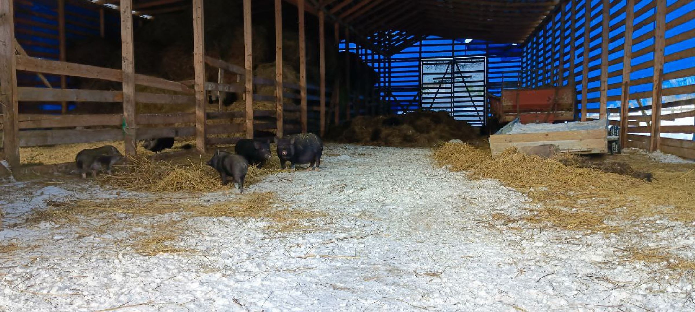 Дмитров, Сыроварня Булатовых, Минсельхоз,