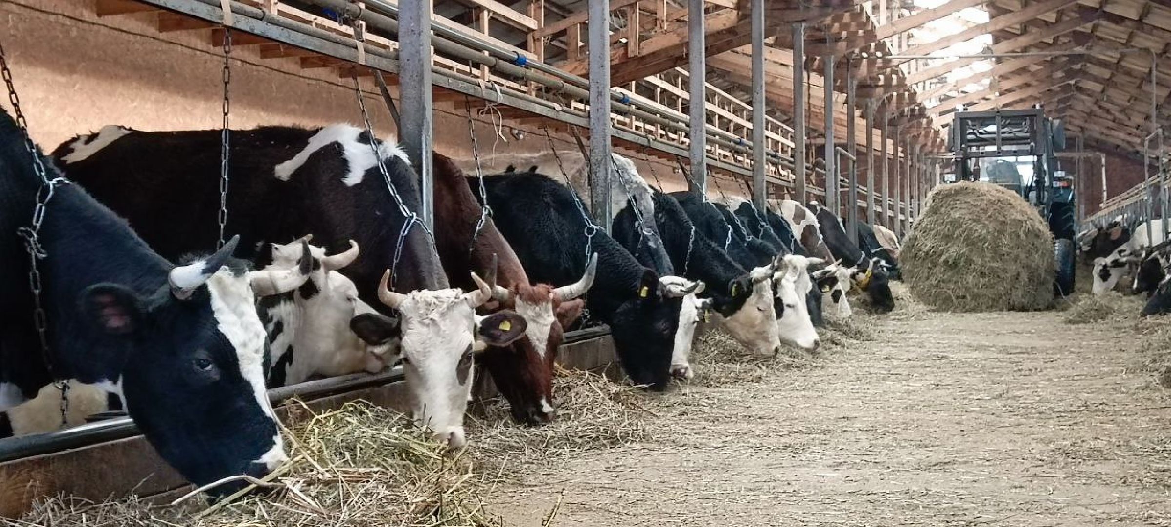 Дмитров, Сыроварня Булатовых, Минсельхоз,