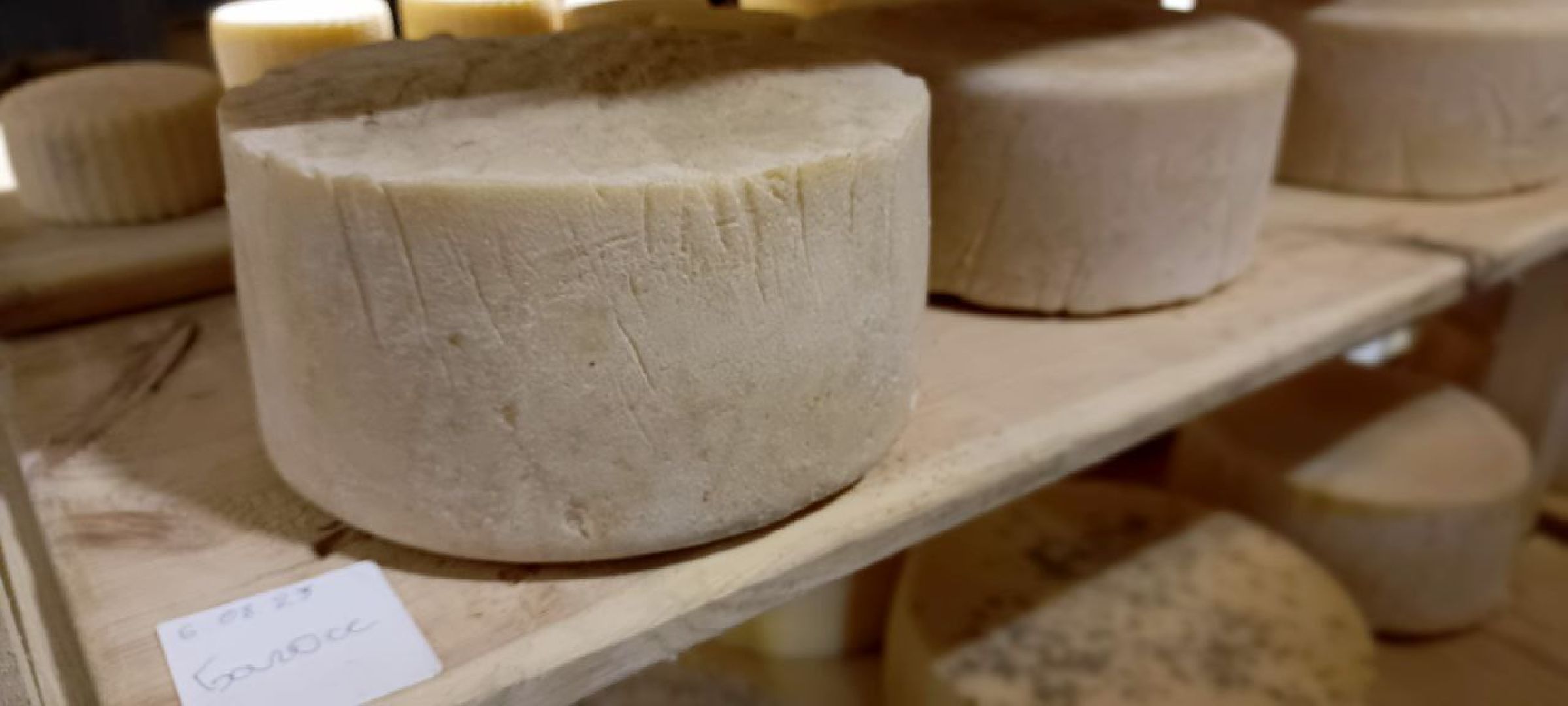 Дмитров, Сыроварня Булатовых, Минсельхоз,