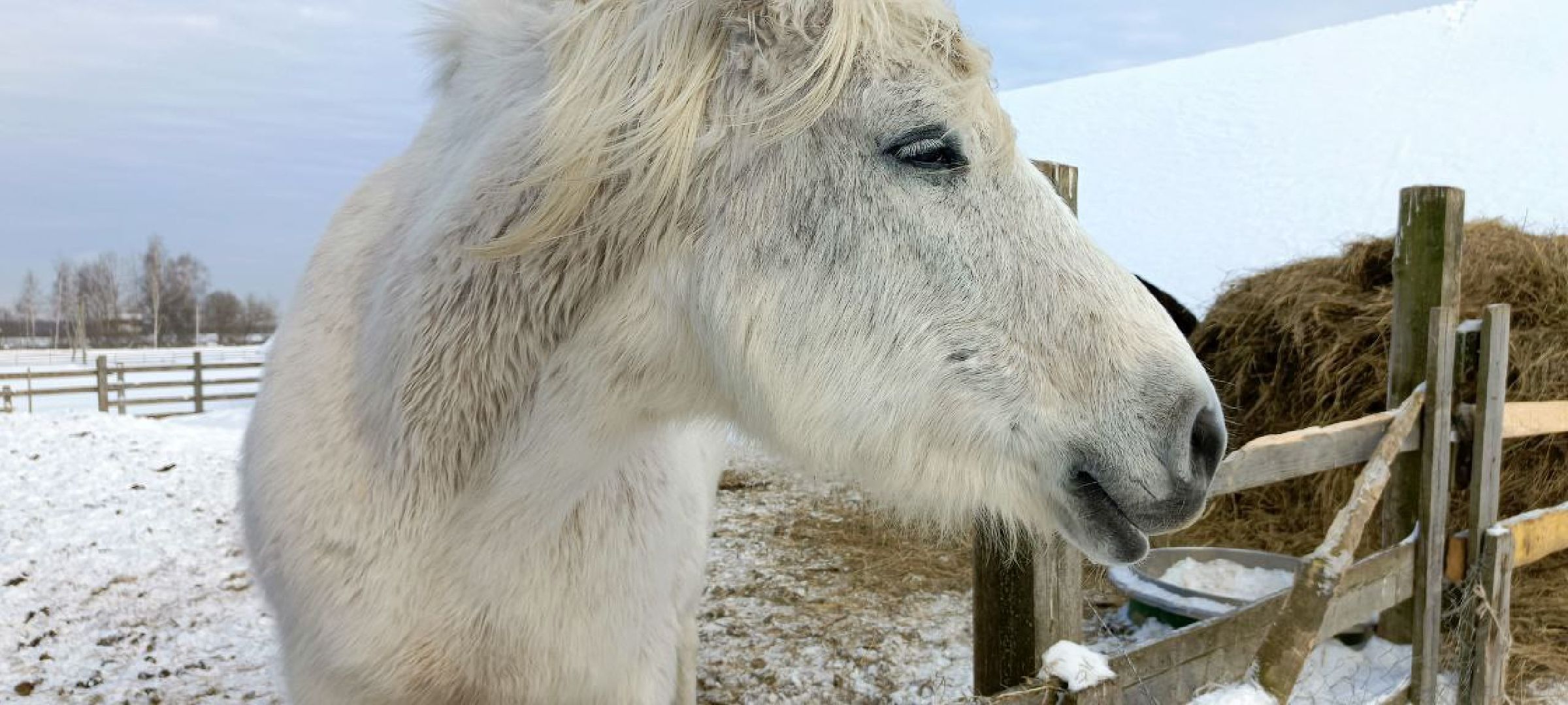 Дмитров, Сыроварня Булатовых, Минсельхоз,