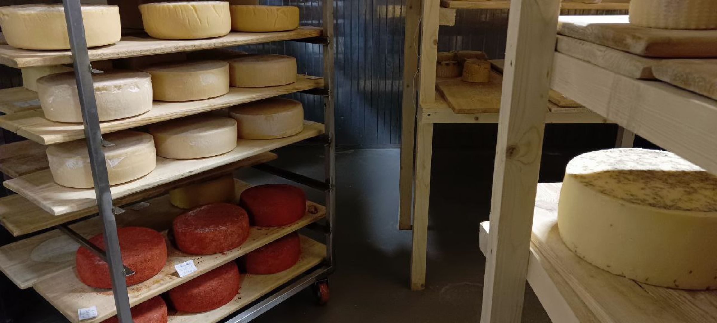 Дмитров, Сыроварня Булатовых, Минсельхоз,