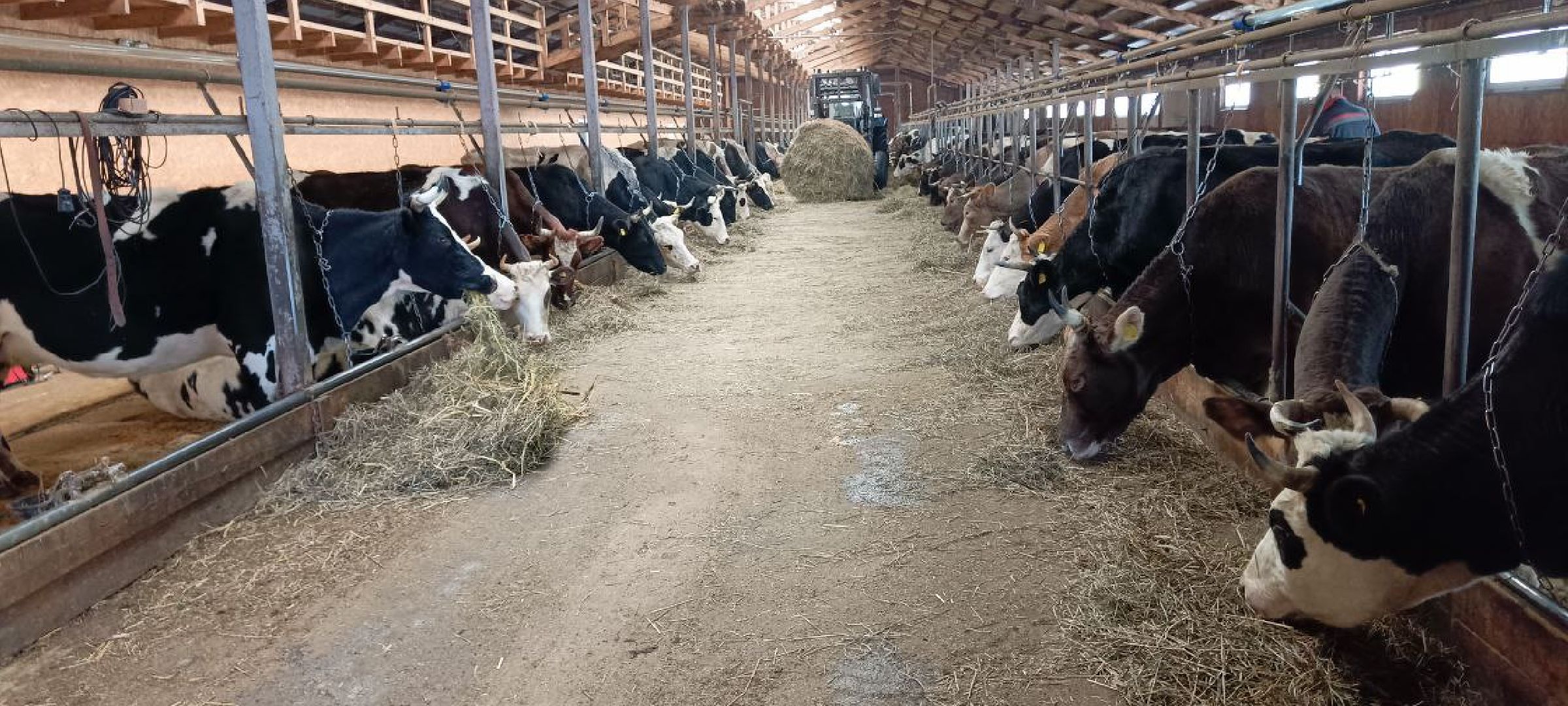 Дмитров, Сыроварня Булатовых, Минсельхоз,