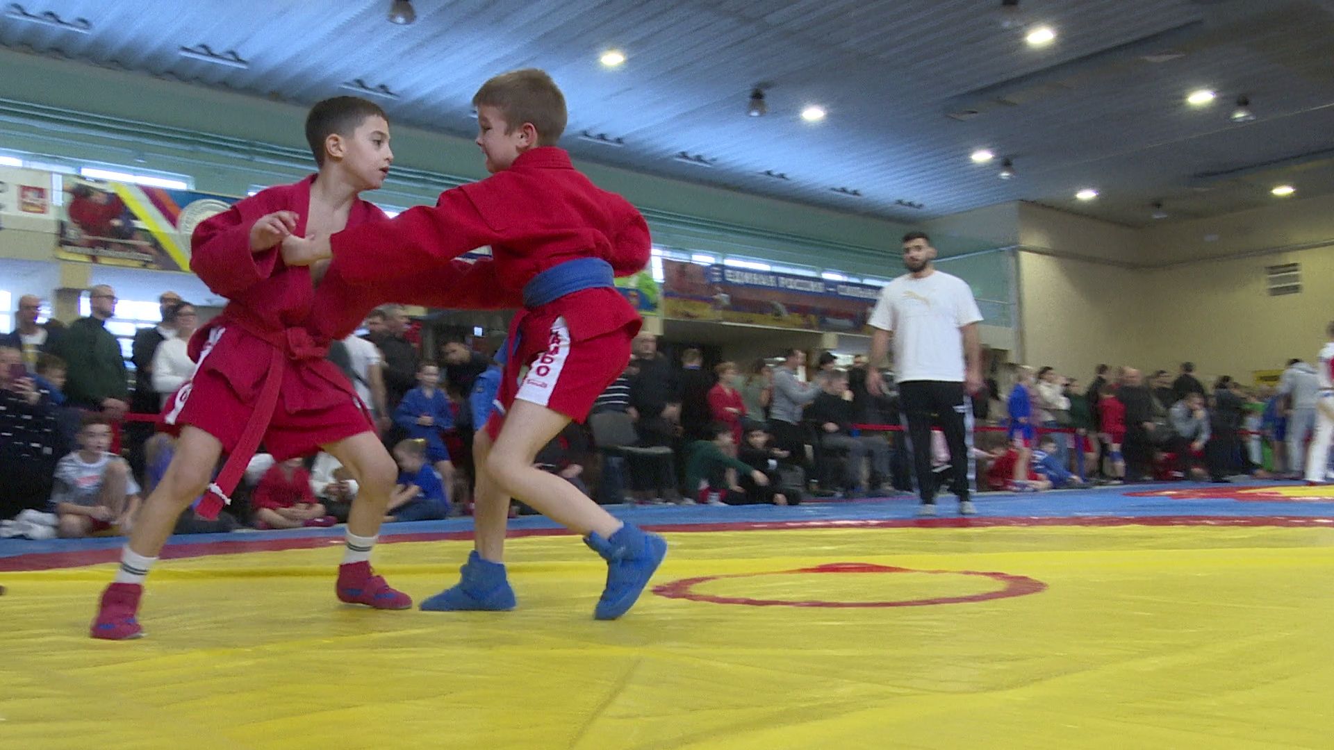 Реутов, спорт, самбо, соревнования,