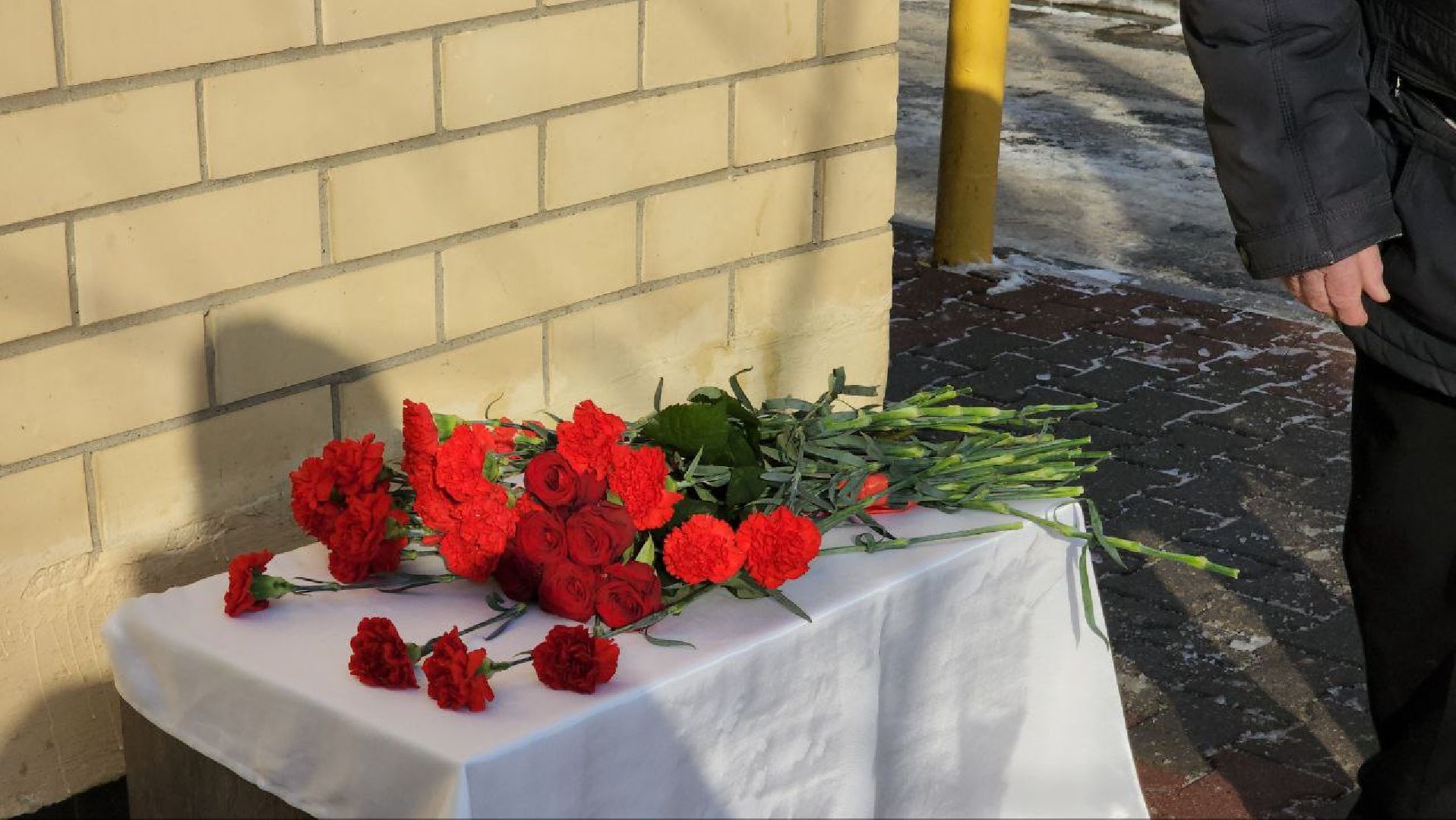 мытищи, Олег Ивановский, мемориальная доска, перловка, гагарин,