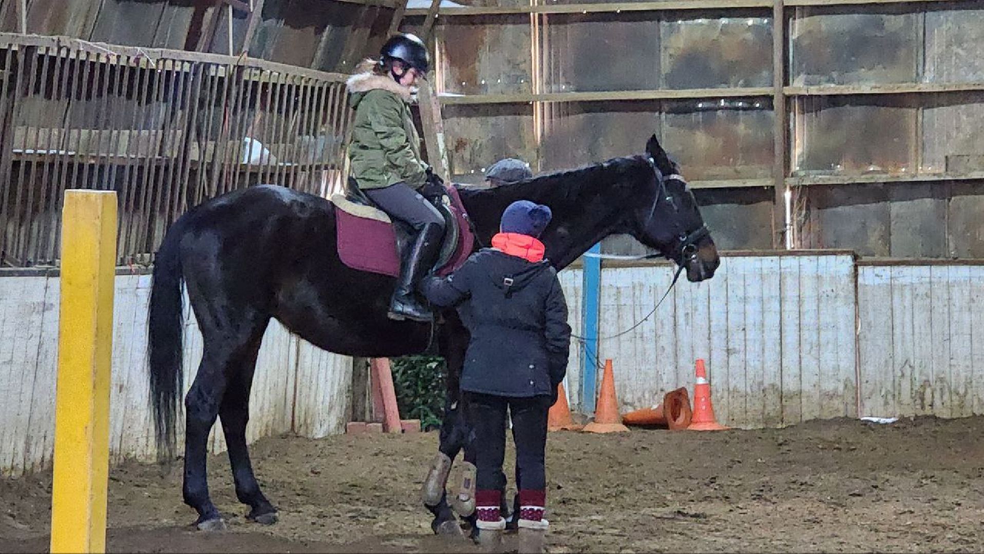 люберцы, Люберецкий конный двор, конюшня,