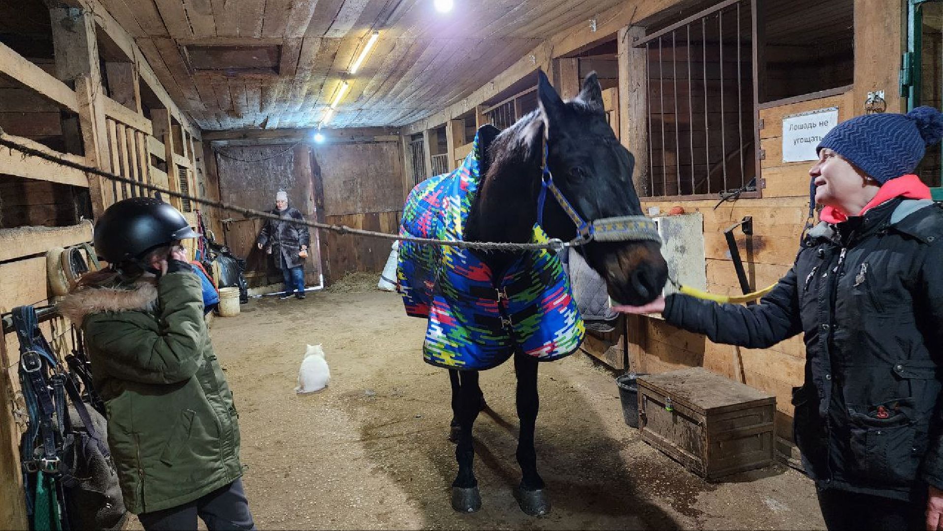 люберцы, Люберецкий конный двор, конюшня,