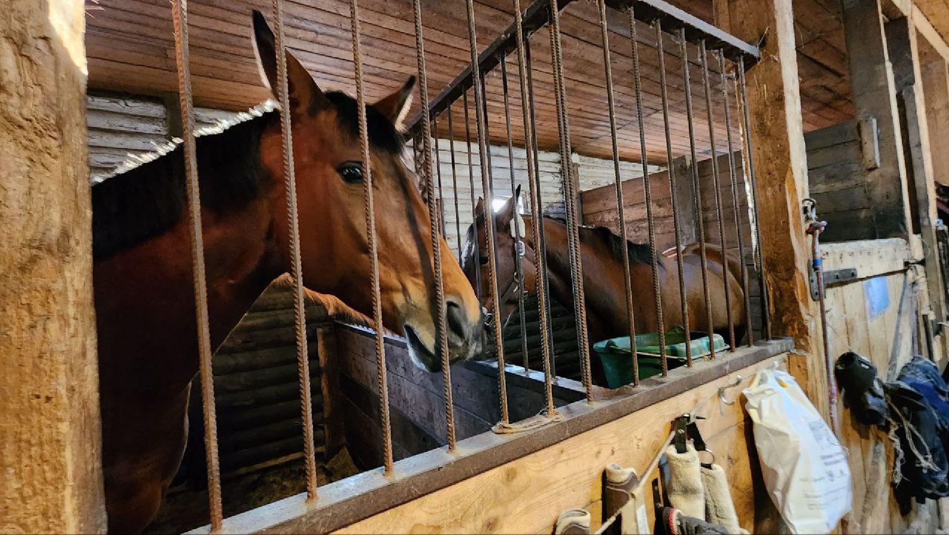 люберцы, Люберецкий конный двор, конюшня,