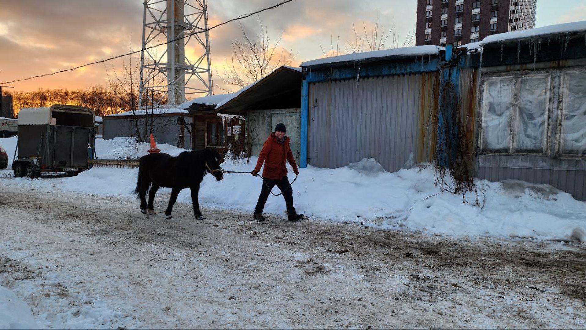 люберцы, Люберецкий конный двор, конюшня,