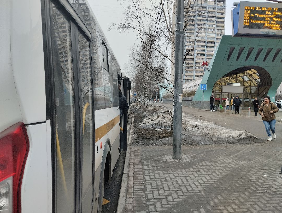 транспорт, автобус