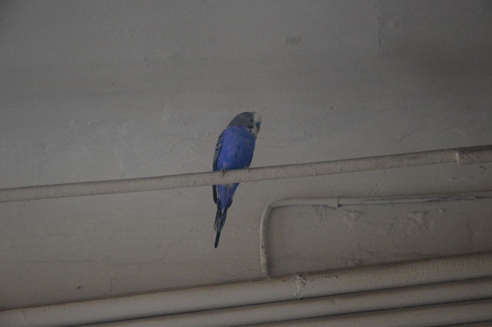 пожар, шатура, чп, пожар многоквартирный дом, мчс, моспожспас, Клара Цеткин,