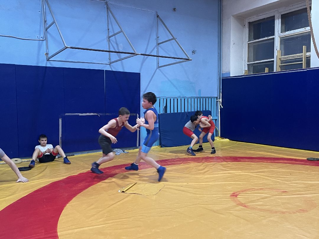 Спорт, борьба