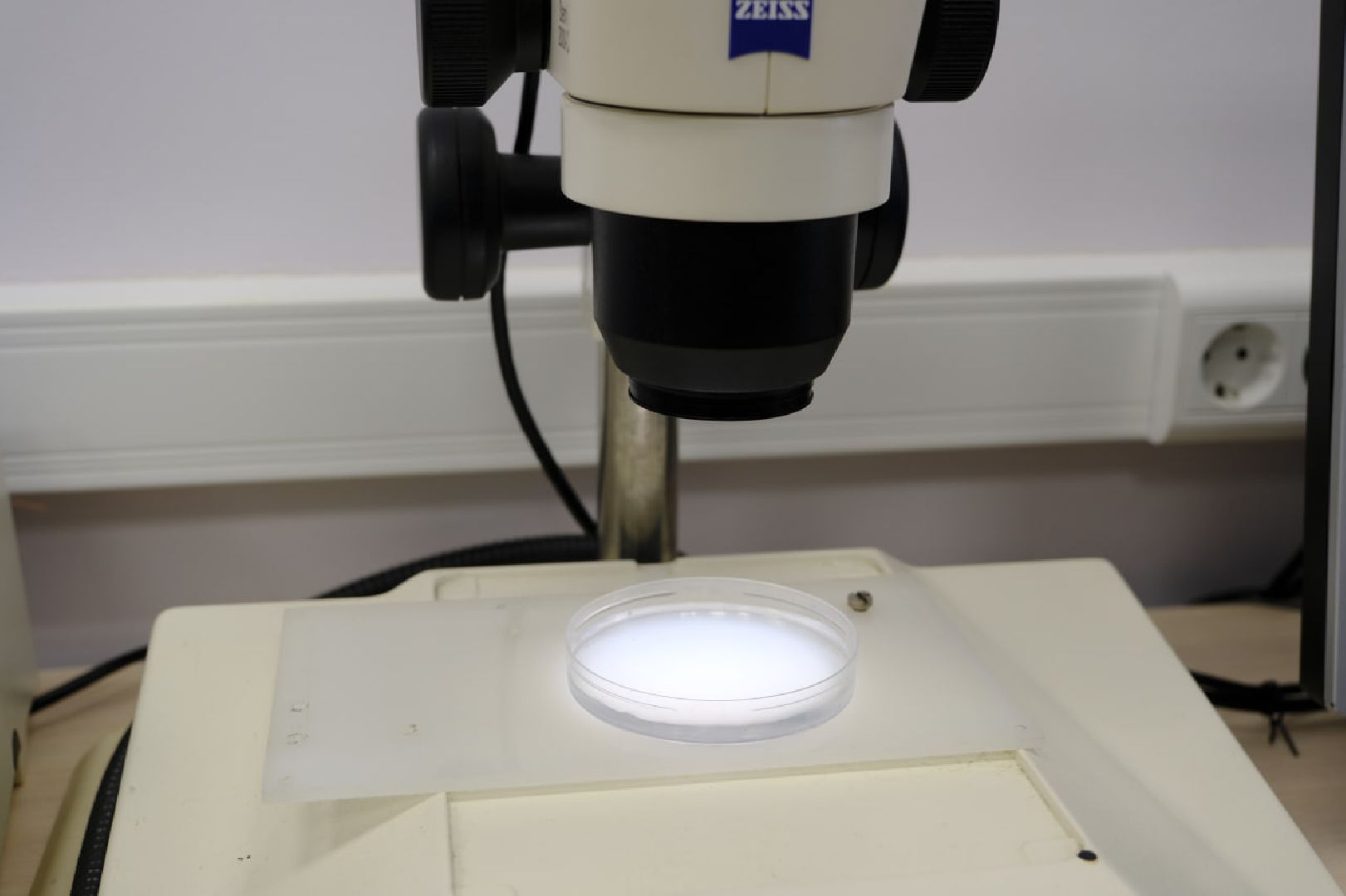 пущино, серпухов, протвино, биология, ученые,дополнительное образование,