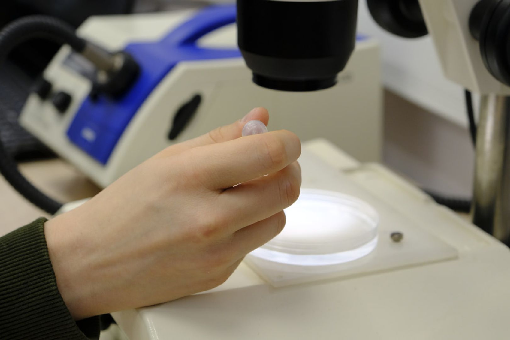 пущино, серпухов, протвино, биология, ученые,дополнительное образование,