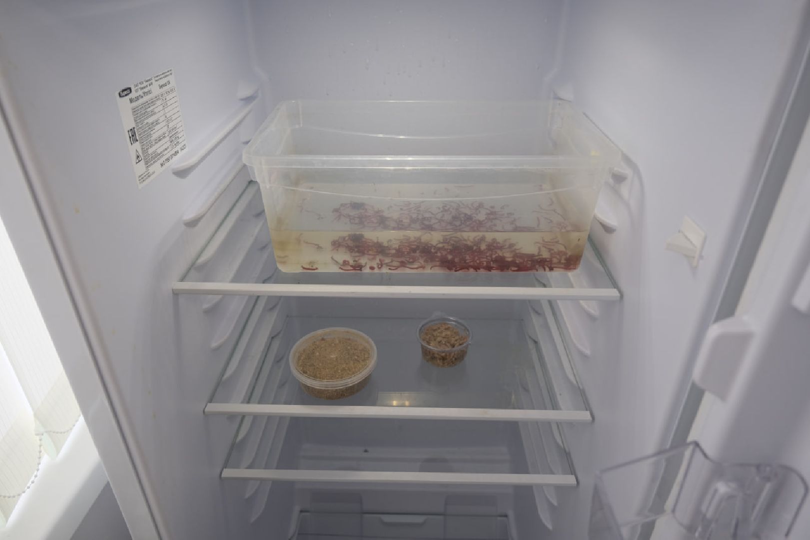 пущино, серпухов, протвино, биология, ученые,дополнительное образование,