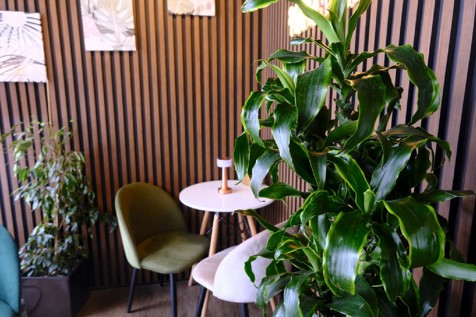 пущино, зима в подмосковье, общественное питание, еда, кофе,