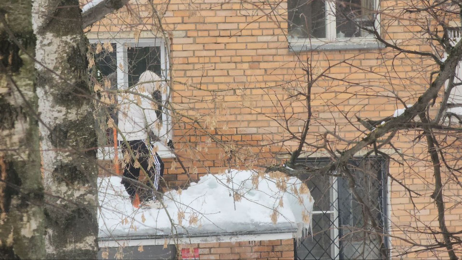 мытищи, жкх, Чистка крыш, Очистка наледи,