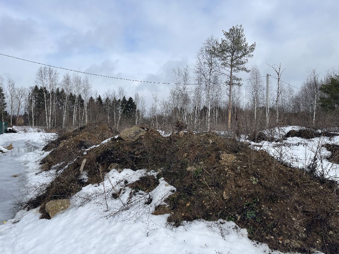 СНТ «Иванов угол», Чапаевка, Одинцовский городской округ, Свалка, экология, министерство экологии и природопользования, иск, суд, штраф, ущерб,