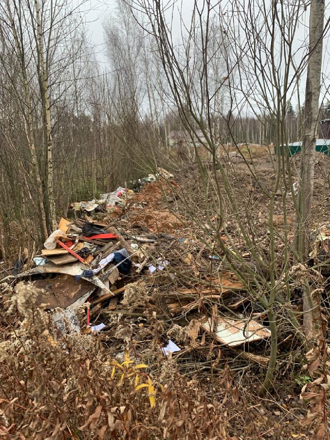 СНТ «Иванов угол», Чапаевка, Одинцовский городской округ, Свалка, экология, министерство экологии и природопользования, иск, суд, штраф, ущерб,