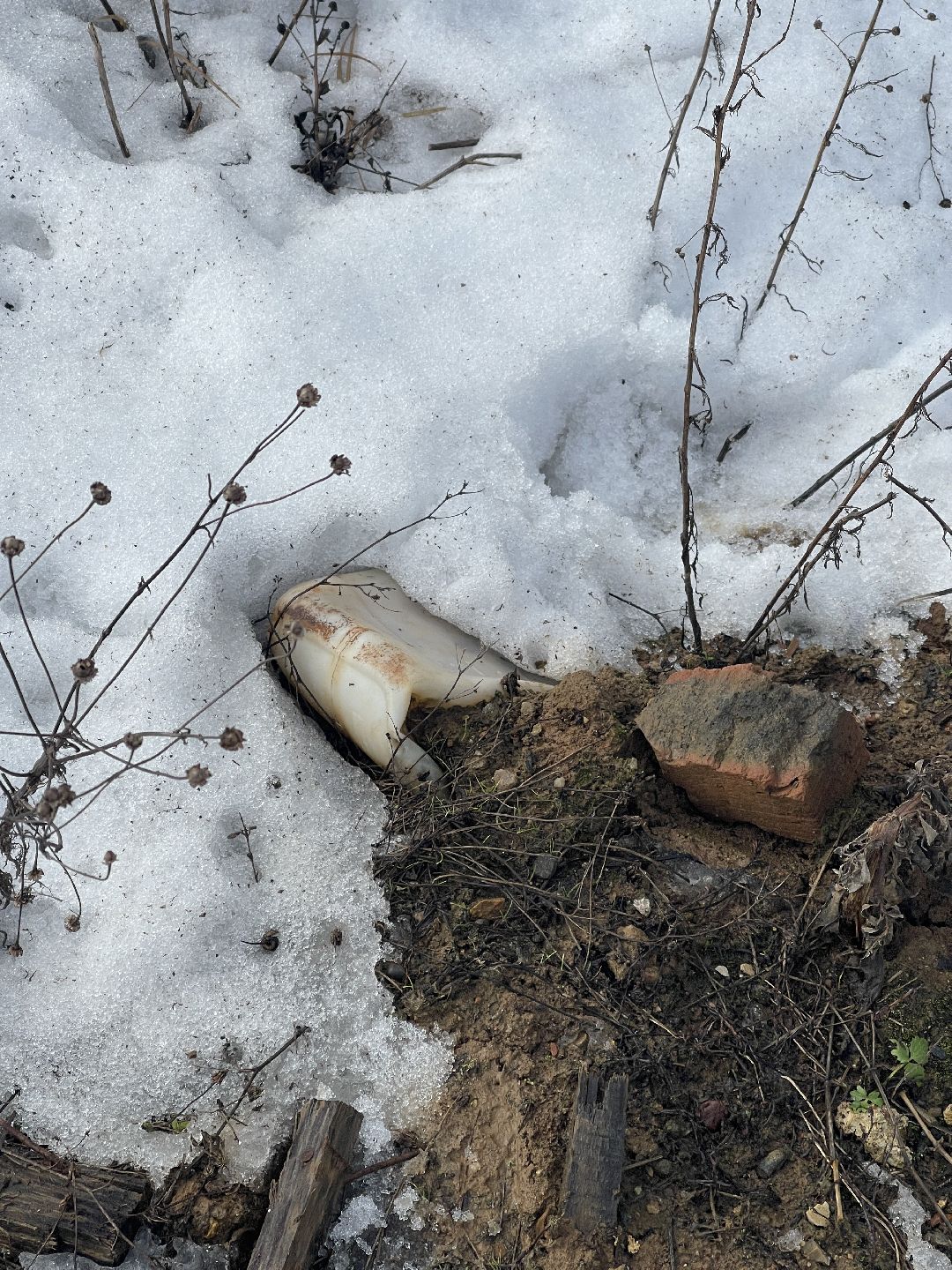 СНТ «Иванов угол», Чапаевка, Одинцовский городской округ, Свалка, экология, министерство экологии и природопользования, иск, суд, штраф, ущерб,