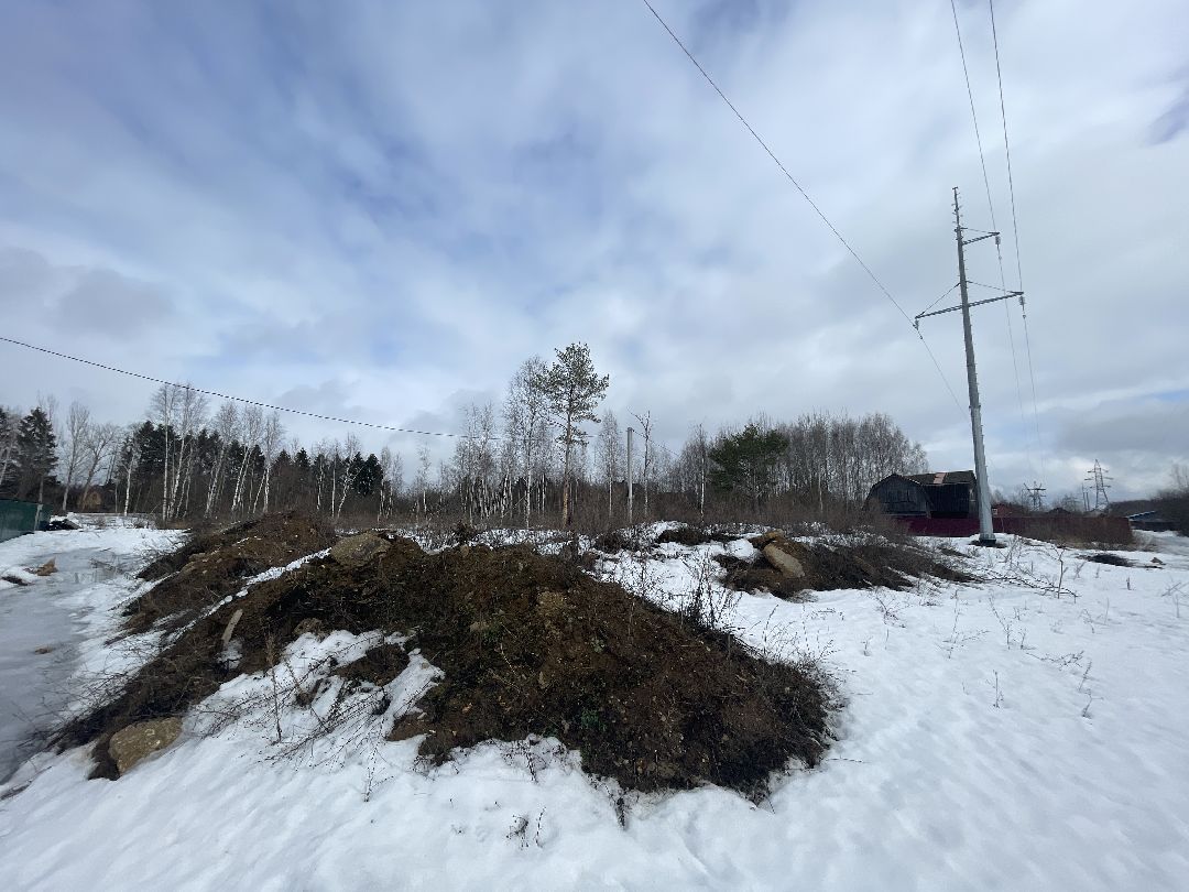 СНТ «Иванов угол», Чапаевка, Одинцовский городской округ, Свалка, экология, министерство экологии и природопользования, иск, суд, штраф, ущерб,
