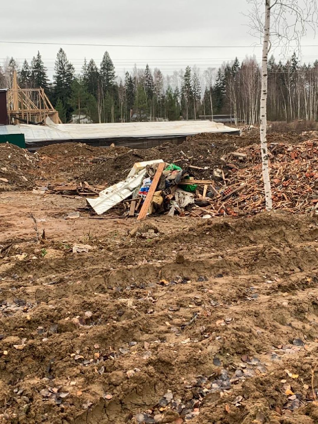СНТ «Иванов угол», Чапаевка, Одинцовский городской округ, Свалка, экология, министерство экологии и природопользования, иск, суд, штраф, ущерб,