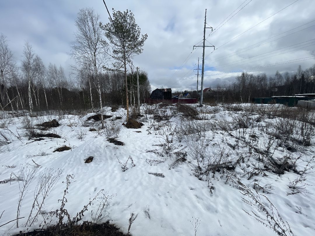 СНТ «Иванов угол», Чапаевка, Одинцовский городской округ, Свалка, экология, министерство экологии и природопользования, иск, суд, штраф, ущерб,
