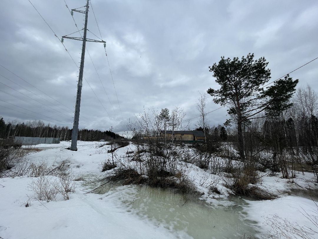 СНТ «Иванов угол», Чапаевка, Одинцовский городской округ, Свалка, экология, министерство экологии и природопользования, иск, суд, штраф, ущерб,