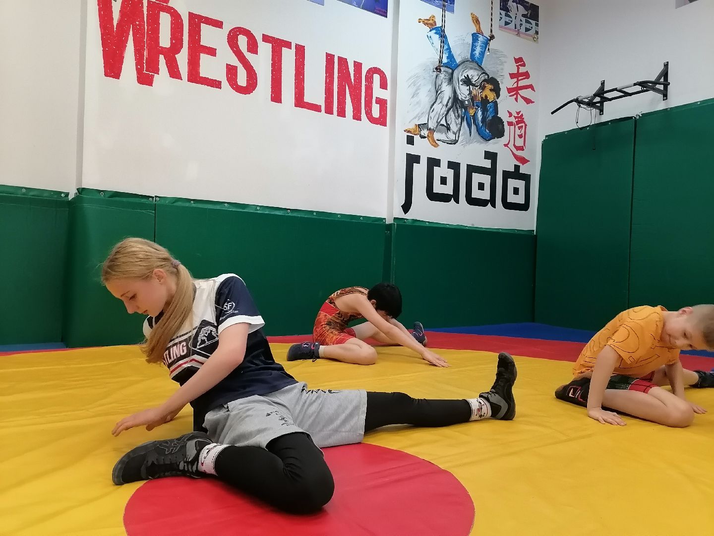 вольная борьба, спорт в подмосковье, победа,