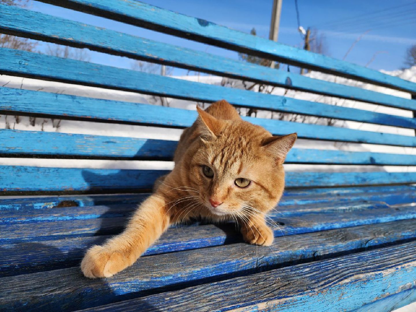 можайск, можайский городской округ, подмосковье, очистка крыш, кровля, наледь, снег, сосульки, промышленные альпинисты, жкх,