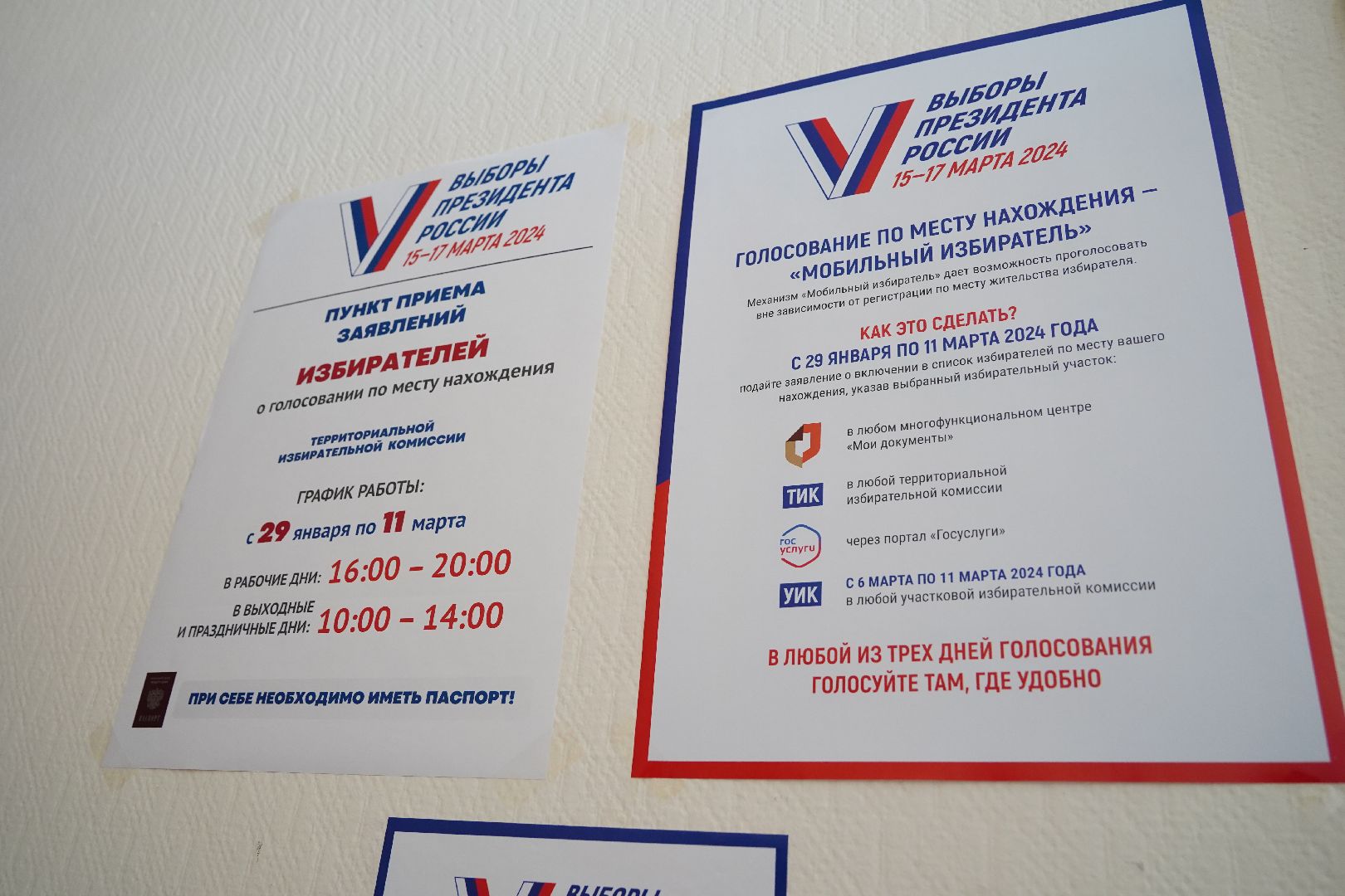 Большая Шатура, выборы, информаторы, обходчики, ТИК, УИК, выборы президента 2024,