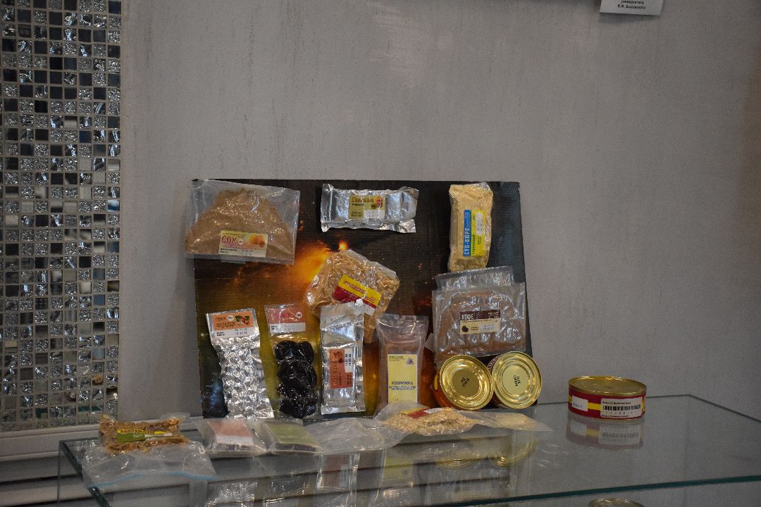 Павловский Посад, городской округ Павловский Посад, космос, космонавт, Быковский, дети, образование