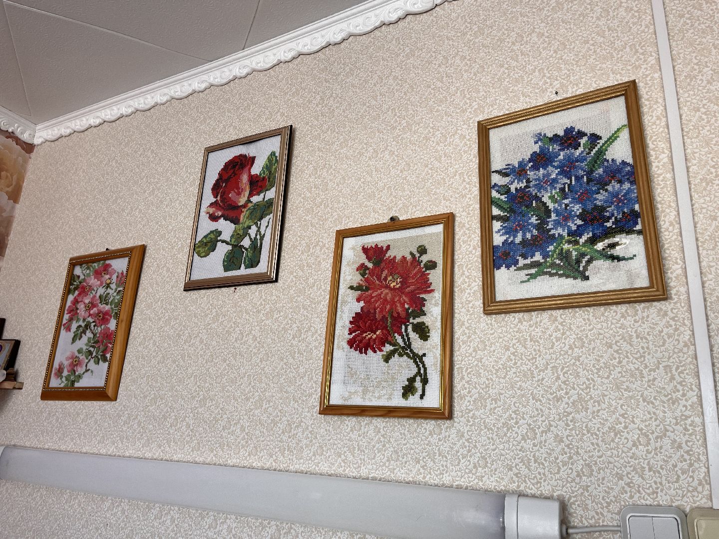 шаховская, выставка, картины, долголеты,