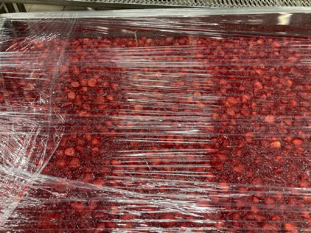 Солнечногорск, Экономика