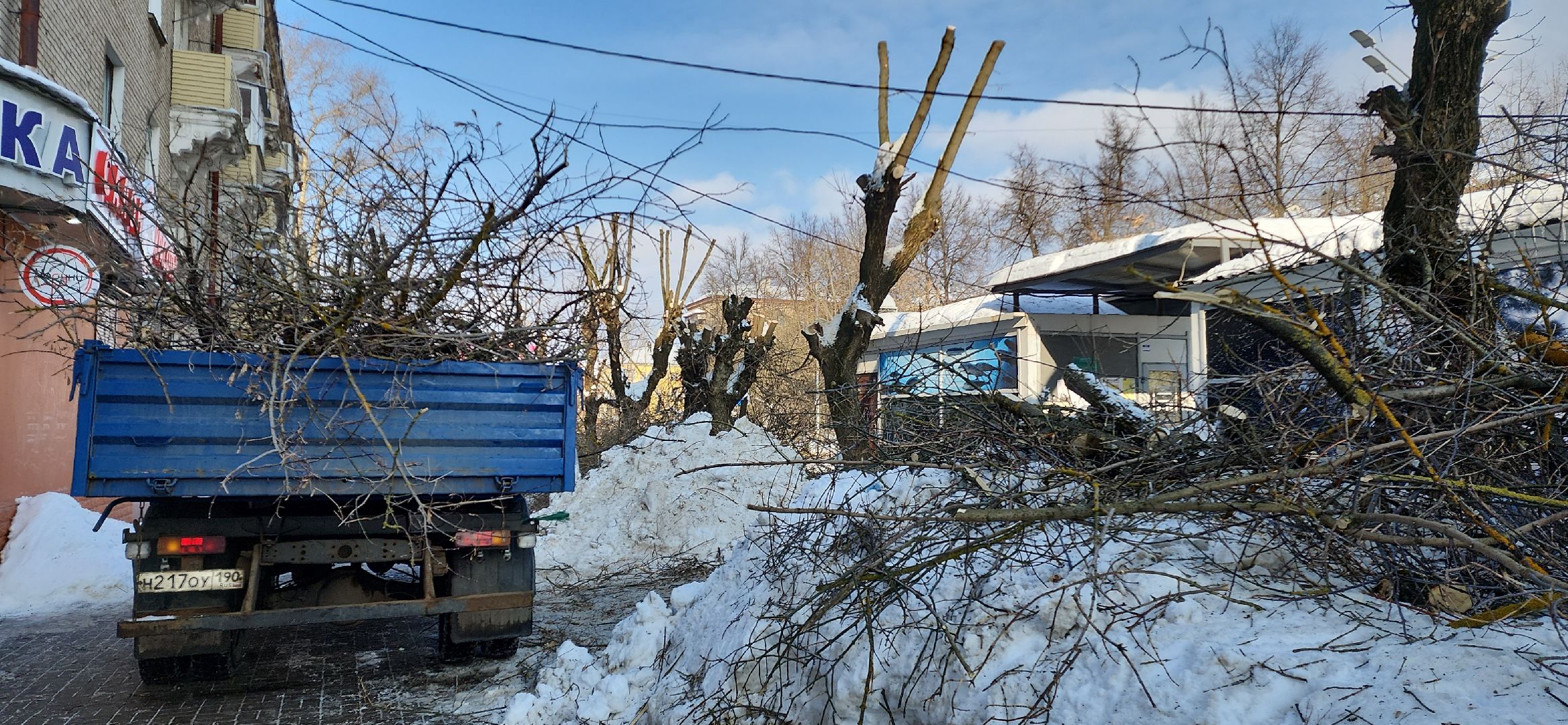 электросталь, мой город, жкх, жкх и благоустройство, обрезка деревьев, коммунальщики, чистый город, безопасность жителей,