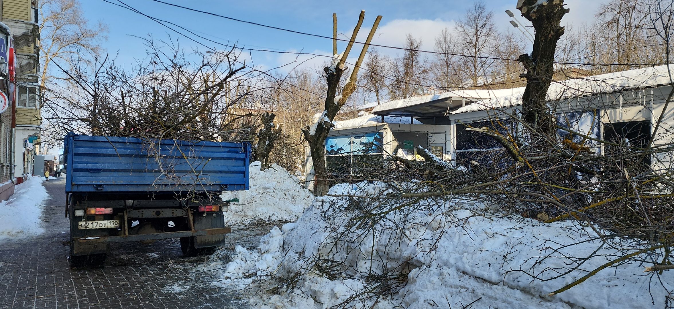 электросталь, мой город, жкх, жкх и благоустройство, обрезка деревьев, коммунальщики, чистый город, безопасность жителей,