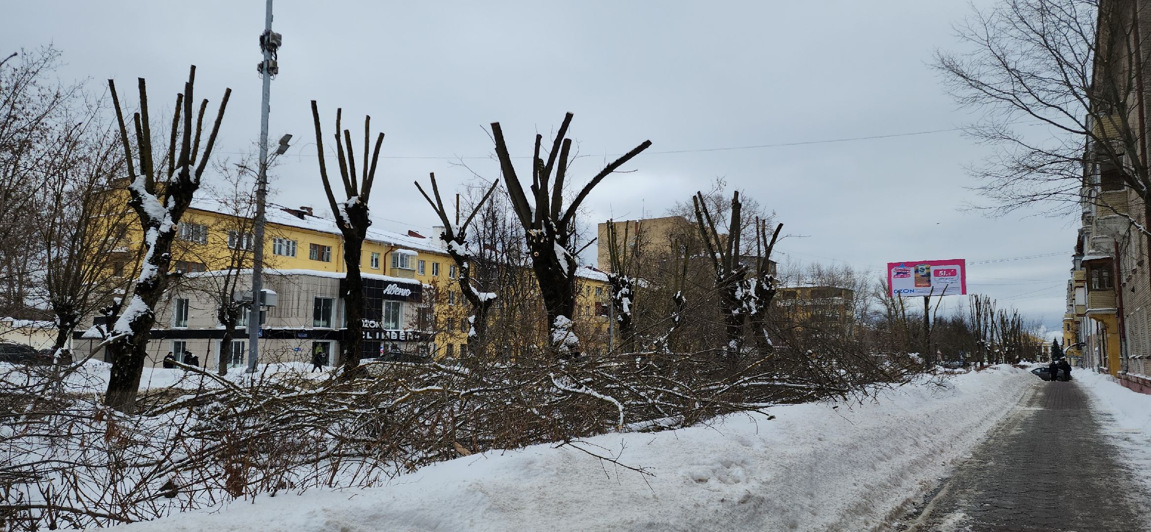 электросталь, мой город, жкх, жкх и благоустройство, обрезка деревьев, коммунальщики, чистый город, безопасность жителей,