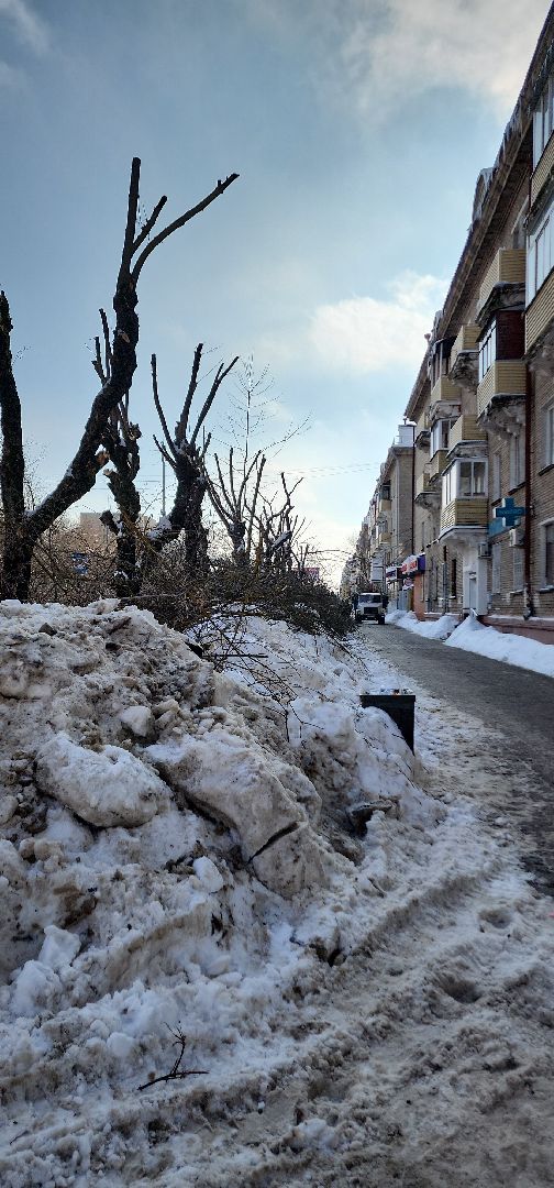 электросталь, мой город, жкх, жкх и благоустройство, обрезка деревьев, коммунальщики, чистый город, безопасность жителей,