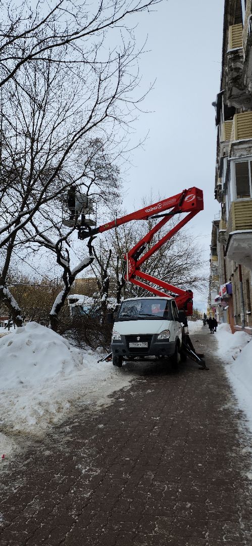 электросталь, мой город, жкх, жкх и благоустройство, обрезка деревьев, коммунальщики, чистый город, безопасность жителей,
