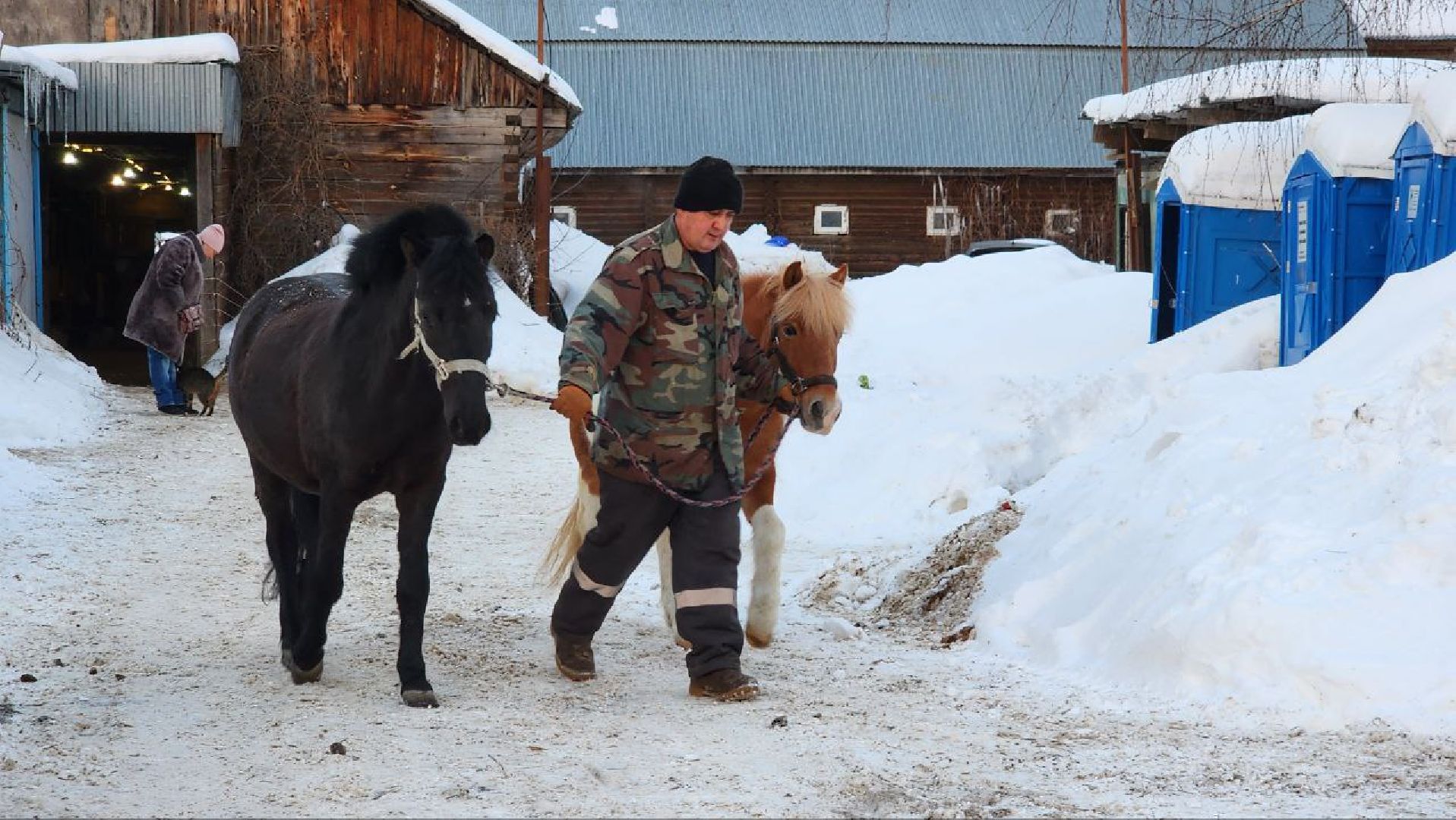 Люберцы, Люберецкий конный двор, малаховка, конюшня,
