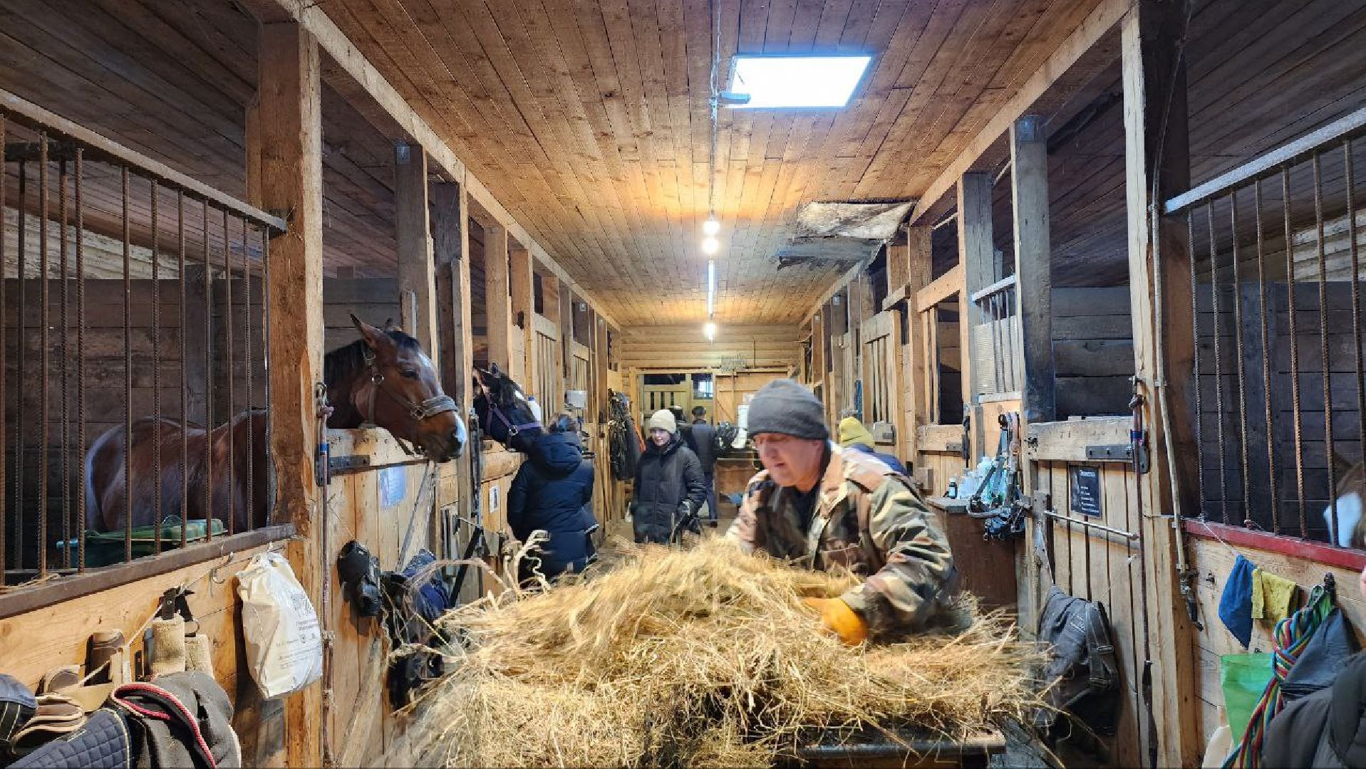 Люберцы, Люберецкий конный двор, малаховка, конюшня,