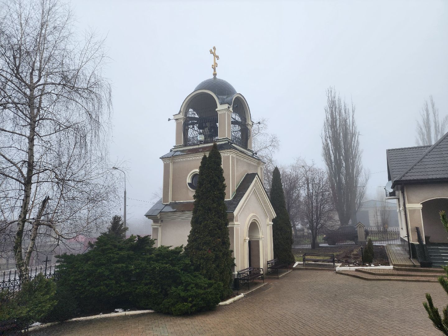 ДНР, лебеди,