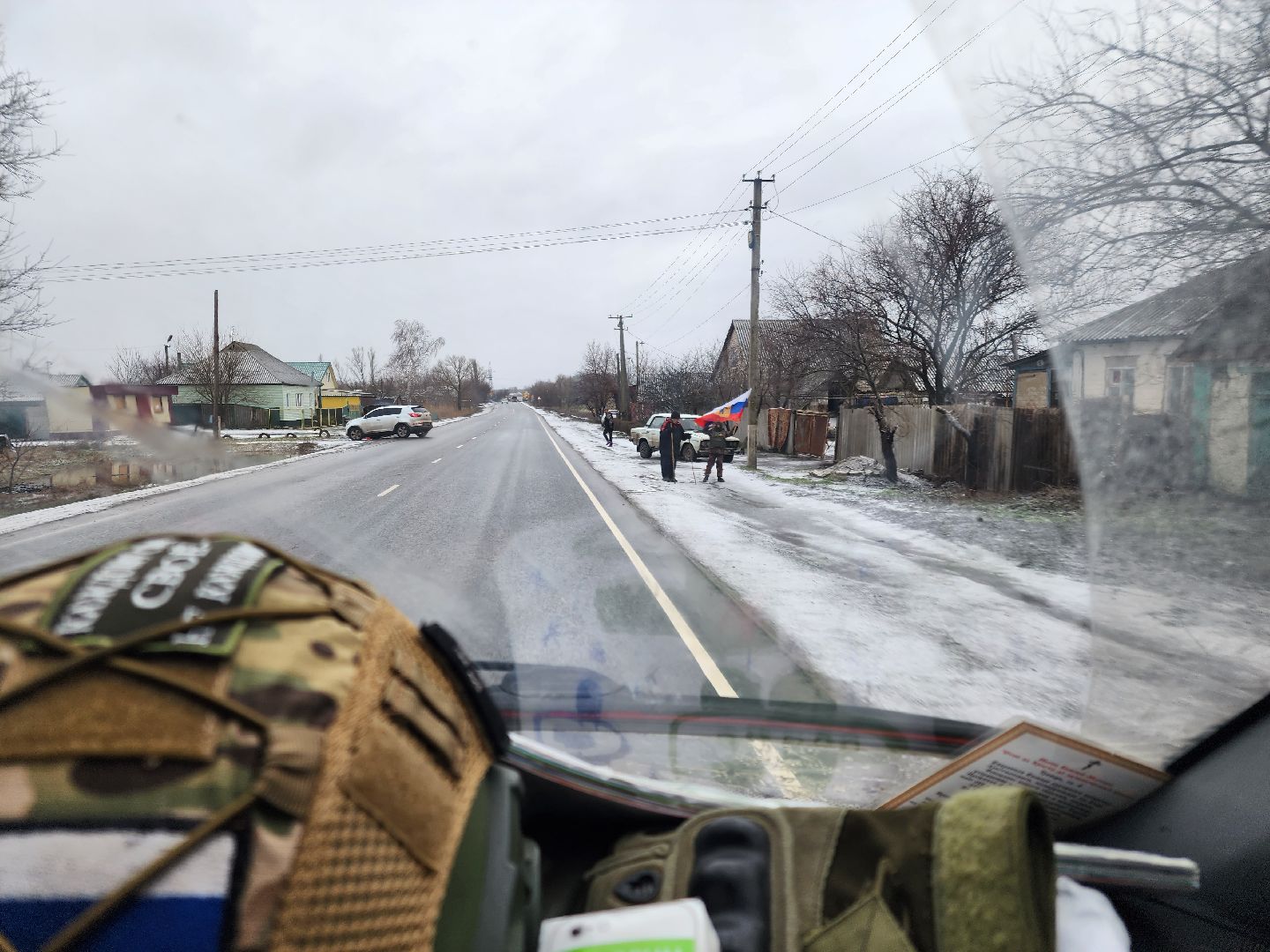 ДНР, лебеди,