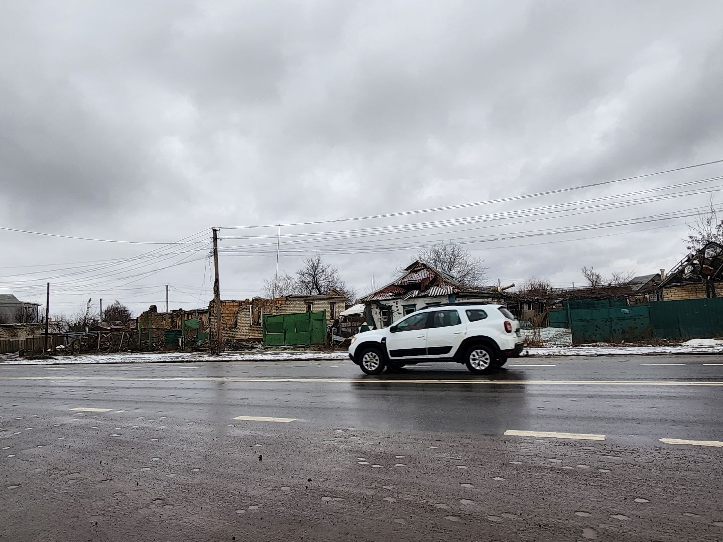 ДНР, лебеди,