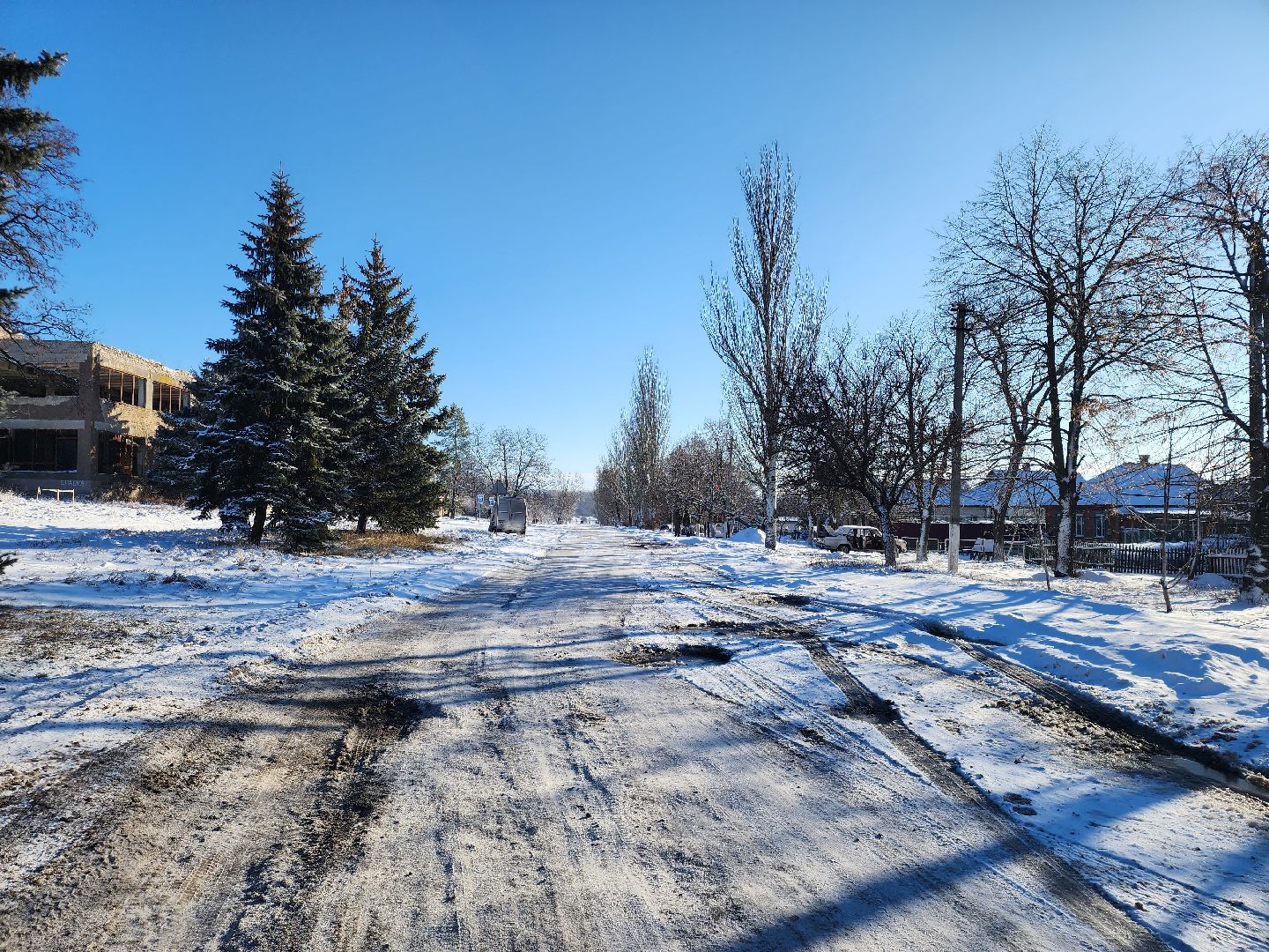 ДНР, лебеди,